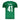 Camisa Palmeiras Home 25/26 Jogador - Verde #Estêvão41