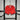 Shorts Coreia do Sul l 2024/25